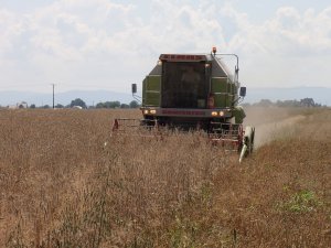 Claas Dominator 88s