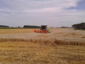 Claas Avero 240