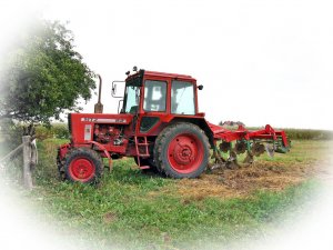 MTZ-82 i agregat podorywkowy Agromasz