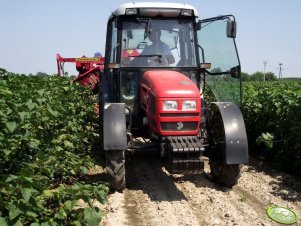 Same Roller 50 i Joanna 2