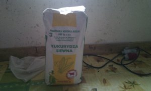 Kukurydza