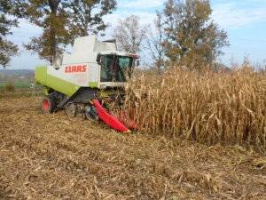 Claas Lexion 480