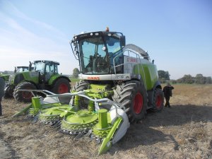 Claas Jaguar