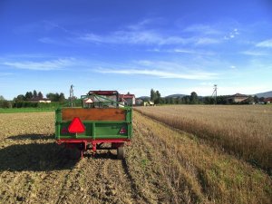 Przyczepa Jednosiowa & Ursus C-360 & Claas Consul