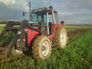 Massey Ferguson 675