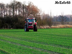 Case Puma 175 CVX & Amazone