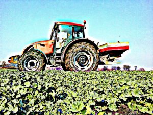 Zetor Forterra 12441