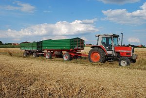 Massey Ferguson 3050 + 2 przyczepy