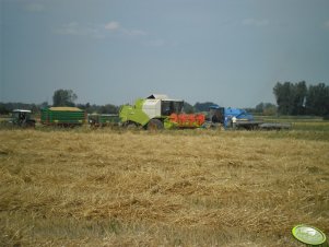 Bizon Rekord NH & Claas Tucano 320 + Fendt 309c & Ursus C-330