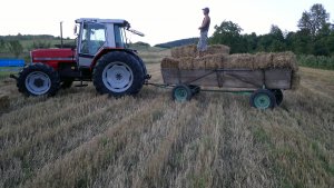 Massey Ferguson 3080