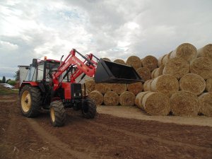 MTZ 82 TS