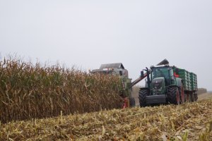 Fendt 828 Vario TMS