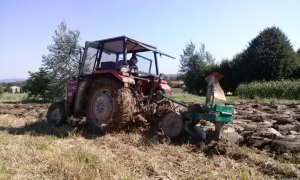 Massey ferguson 255