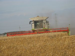 Claas Lexion 770TT