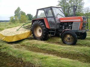 Zetor 8011 + Samasz economy 1,85