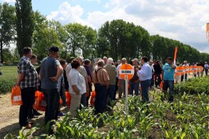 KWS Demo Farma Kondratowice 2014