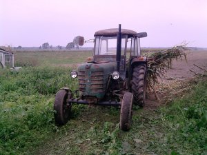 Zetor Major 3011 + Koszyk