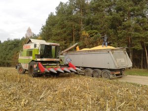 Claas Dominator 98 + DOMINONI