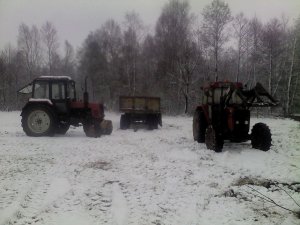MTZ 82 TS & Ursus 4514 & Przyczepa 10 T