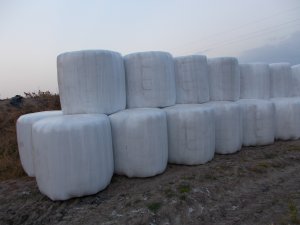 Baloty Sianokiszonki