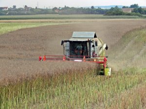 Claas Tucano 430