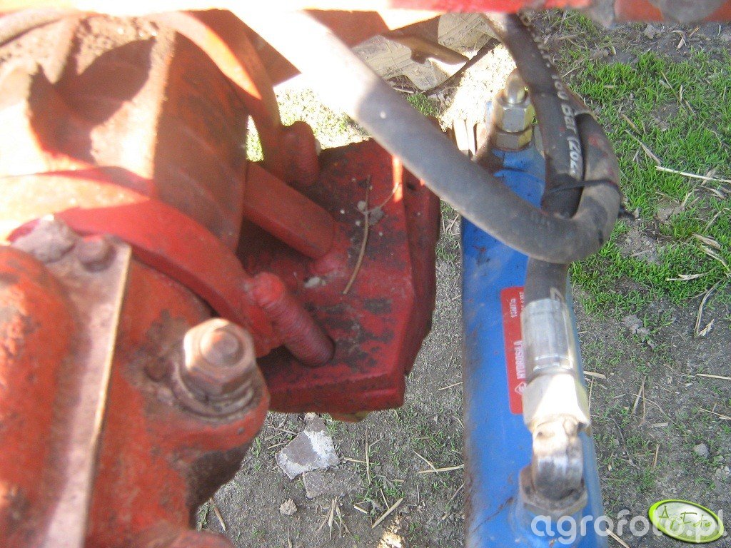 MTZ - Obrazek, fotka, zdjecie, photo #431151 - Galeria rolnicza agrofoto
