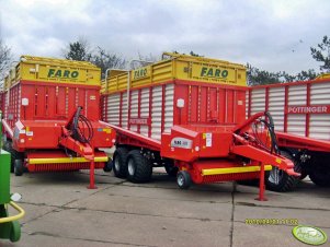 Pottinger Faro