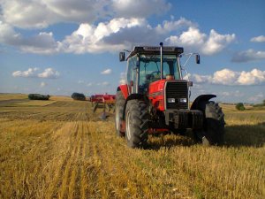 Massey Ferguson 3060 + gruber KOS