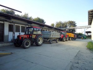 Zetor 7745 Turbo + Sanok & Forterra 115 + Wielton + Zasław