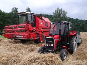 Massey Ferguson 255 + BIZON Rekord Z058