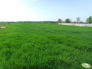 Visello pomieszane z Cantorem