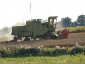 Claas Dominator 85