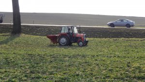 Massey ferguson 255