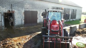 Massey Ferguson 5450 + Stoll