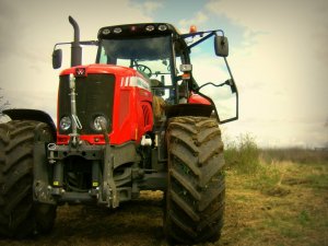 Massey Ferguson 6495