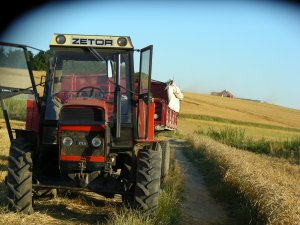 Zetor ZTS 8045