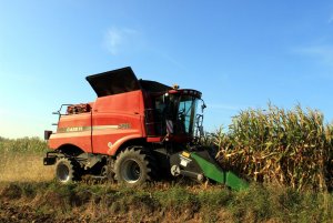 Case Axial-flow 5130 & Geringhoff