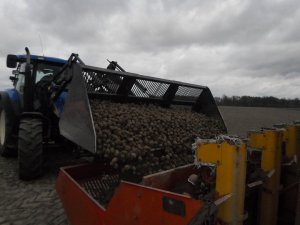 Załadunek ziemniaków