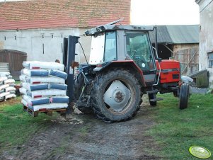 Massey Ferguson 3050 + widlak