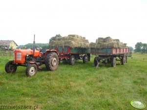 Zetor 3011 + przyczepy