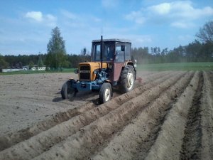 Ursus C-330 & Sadzarka