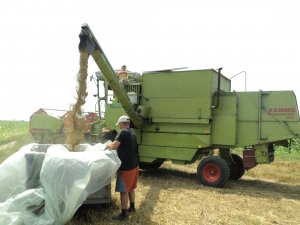 Claas Dominator 85