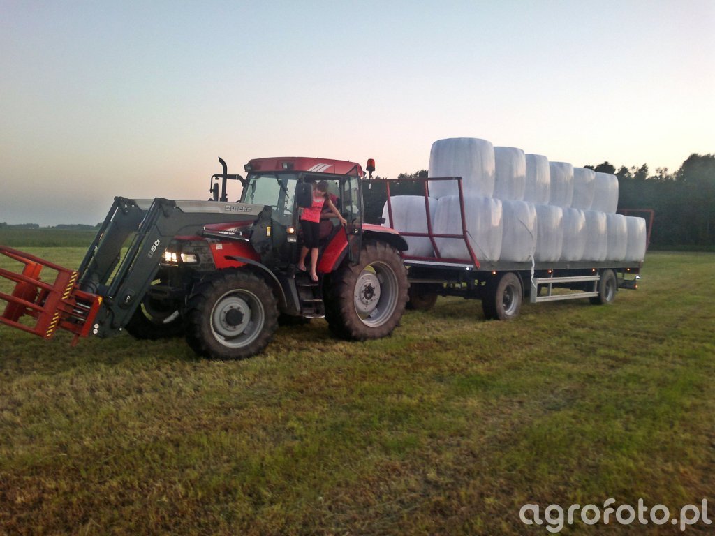 Kasbohrer - zdjęcie, fotka, foto numer 507514 - Galeria rolnicza agrofoto