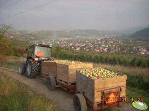 Same Dorado 66 + przyczepki