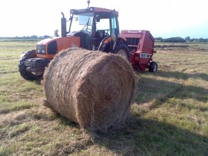 Renault Ergos 85 + Hesston 5630