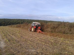 Zetor 7745 + Fermstal