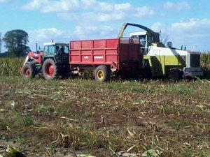 Fendt Farmer 312 i Claas Jaguar 690