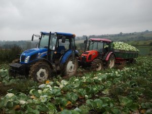 New Holland Td5.65 & Zetor Proxima 8441 + D50