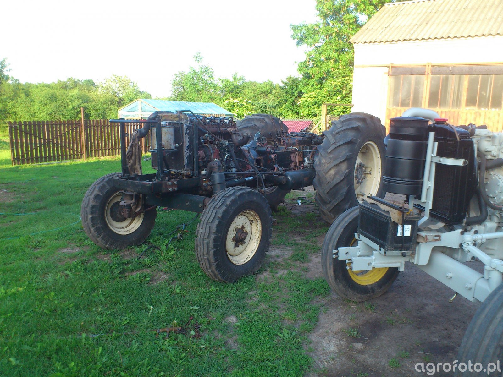 Obraz Ciagnik Zetor 7211 Id:506252 - Galeria Rolnicza Agrofoto