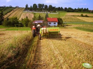 MF-255 + Claas Markant 40